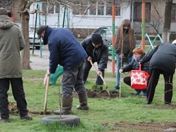 В Мелитополе сегодня стартует месячник благоустройства фото