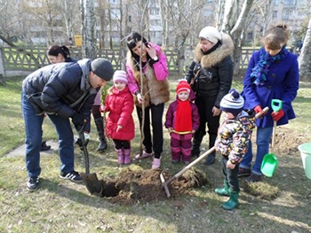 Детсадовцы Веселки высаживают розы, юкку и калину фото