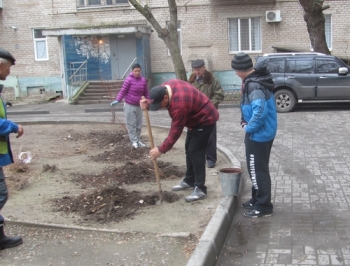 Жители микрорайона высадили более сотни саженцев фото