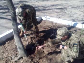 Военнослужащие очистили лесополосу от мусора фото