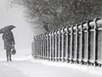 В первый день лета в России выпал снег  фото