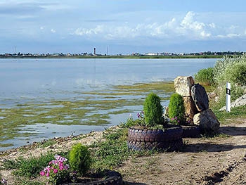 В Кирилловке нечистоты сливаются в лиман, - Брыль фото