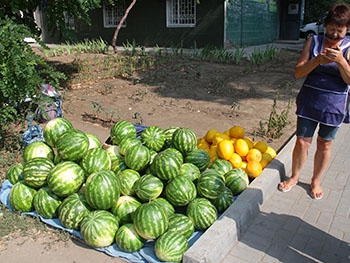 Больше всего нитратов на мелитопольских рынках нашли в дынях фото