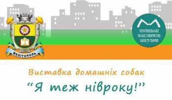 «Я теж нівроку!». Мелитопольские беспородные животные поучаствуют в ежегодной выставке фото