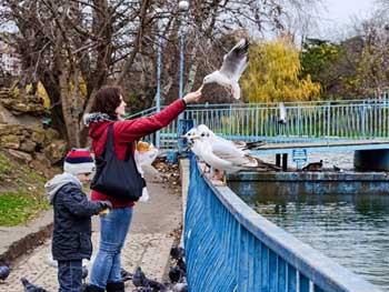 В Украину идет потепление фото