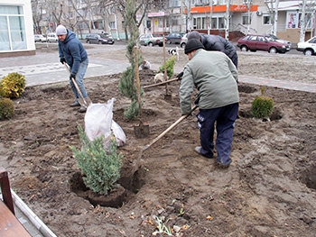 За сохранностью зеленых насаждений около шахматной школы будут следить с помощью камер фото