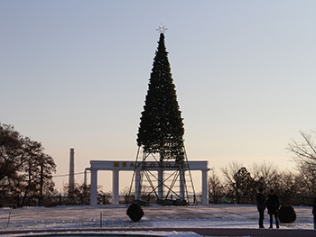 Главную новогоднюю елку украшают игрушками фото