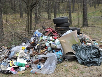 За год на улицах города чиновники нашли 67 ничейных свалок фото