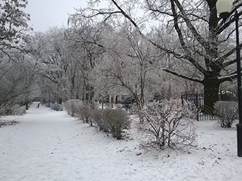 Два дня мелитопольцы любовались необычной зимней красотой  фото