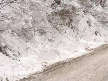 В Закарпатье одна за другой сходят лавины фото