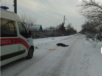 В Пологах пьяные посевальщики валялись на улице  фото