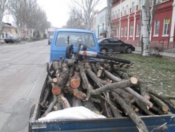 Поймали черных лесорубов фото