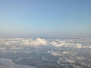 Завораживающее зрелище: море у побережья Кирилловки сковало льдом  фото