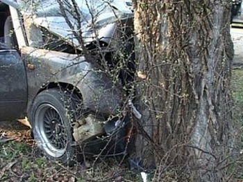 Под Запорожьем дорогой внедорожник влетел в дерево фото