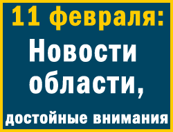 В субботу в Запорожье выступали не только люди, но и собаки фото