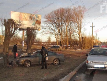 В Запорожской области иномарка врезалась в дерево фото