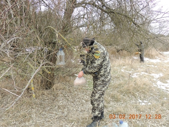 Приазовский парк «открыл» для птиц столовые фото