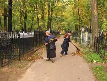 На кладбище посадили сотню деревьев фото