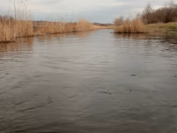 В красивом месте живем - в сети показали сплав по реке Молочной  фото