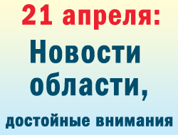 В Запорожской области пятница оказалась днем ДТП фото