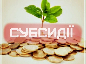 Как работает монетизация субсидий фото