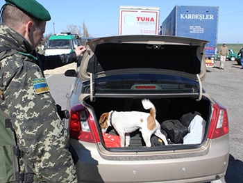 Собака не пустила мелитопольца в Крым(добавлено видео) фото