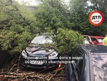 Мини-армагеддон в Киеве: затопленные улицы и поваленные деревья фото