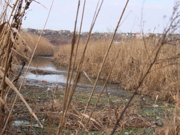 Песчанский ручей вновь отравляет воздух в округе фото