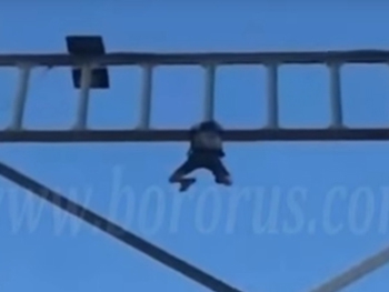 В Киеве подросток сорвался с опоры пешеходного моста: появилось жуткое видео (18+) фото