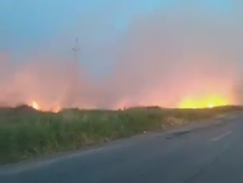 Пожар в Кирилловке. Экосистеме нанесен значительный урон  фото