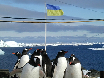 $ 6 за мегабайт интернета: украинский полярник рассказал о жизни в Антарктиде фото