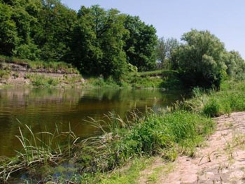 В Харьковской области на берегу реки нашли тело женщины фото