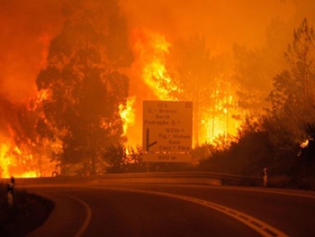 Страшные пожары в Португалии: в стране объявлен трехдневный траур по жертвам стихии фото