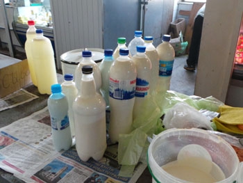Мелитопольцы возмущены намерением Минагрополитики запретить продажу домашнего молока фото