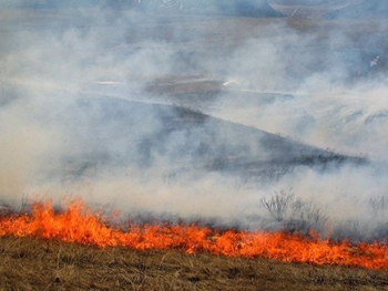 В Запорожской области огонь повредил почти 26 гектаров открытых территорий фото