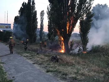 В Мелитополе горела балка фото