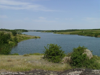 На берегу водохранилища пропал маленький мальчик фото