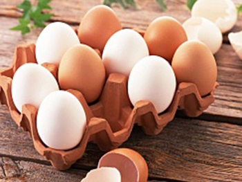 В ЕС запретили продажу яиц фото