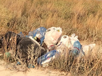Остров Бирючий: мусорная жуть  фото