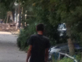 Пешеход-нудист: мелитопольца застали во время прогулки в одной футболке  фото