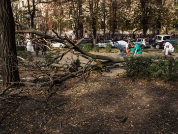 Погибшая в Днепре от падения ветки студентка была беременной фото