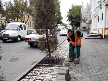 У входа в мэрию разобрали тротуар фото