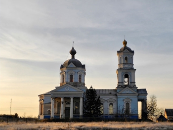 Лебедь приазовских степей фото