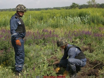 В Запорожской области посреди улицы обнаружили 13 гранат фото