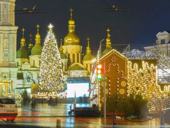 Стало известно, когда и где установят главную елку страны фото