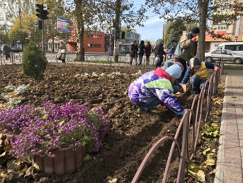 В Мелитополе высадили рекордное количество тюльпанов фото