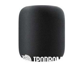 Портативная колонка Apple HomePod Black фото