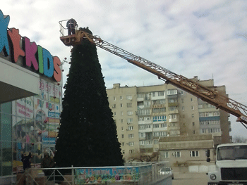 В Мелитополе установили первую новогоднюю елку  фото