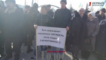 В Запорожье митинговали лесники фото