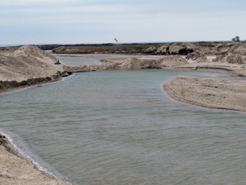 Промоина между Молочным лиманом и морем снова закрыта. ФОТО фото